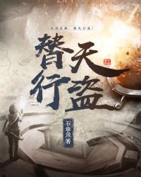 替天行盗小说讲的什么